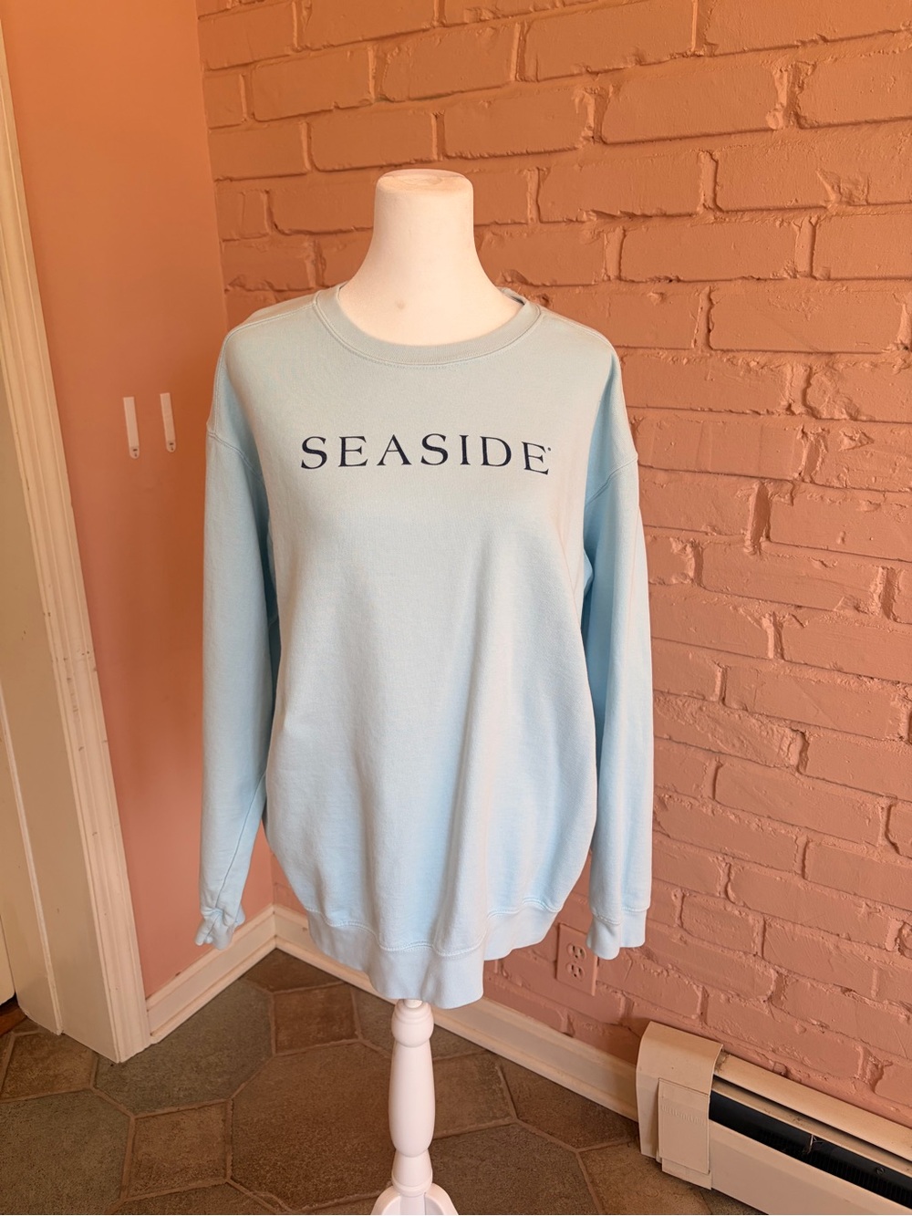 Comfort Colors Light Blue SEASIDE Crewneck Sweatshirt